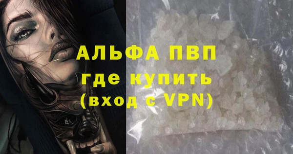 сатива Абинск