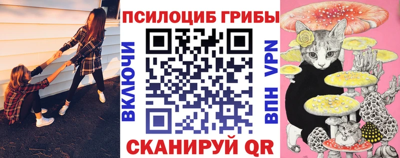 Галлюциногенные грибы MAGIC MUSHROOMS  сколько стоит  Нерехта 